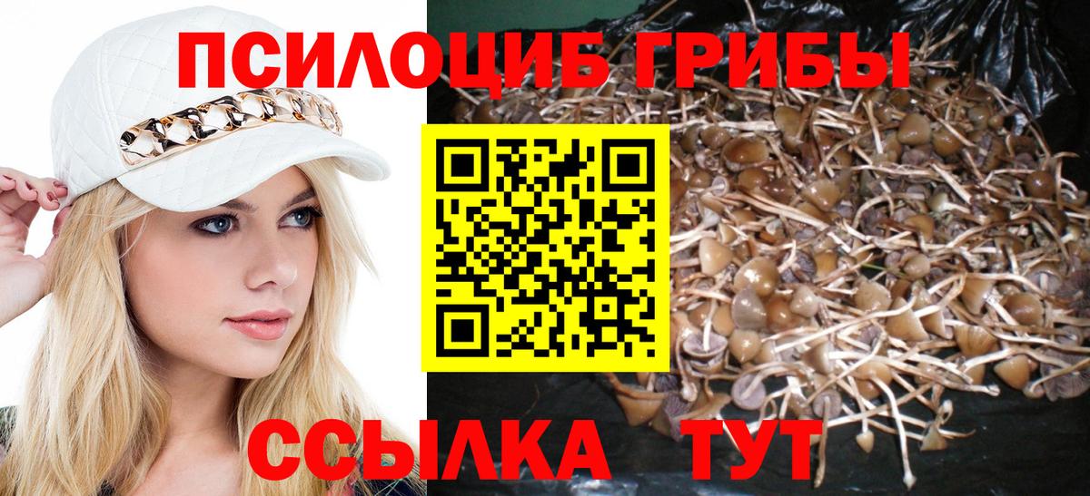 Псилоцибиновые грибы прущие грибы  Вход с VPN  наркота  Южно-Сахалинск 