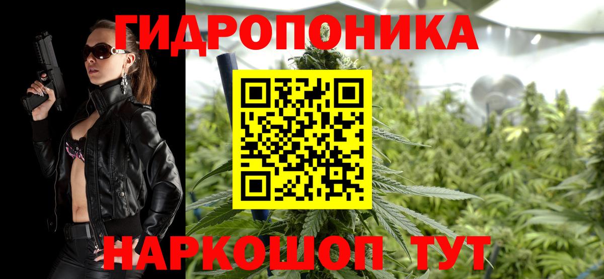 Канабис гибрид Южно-Сахалинск